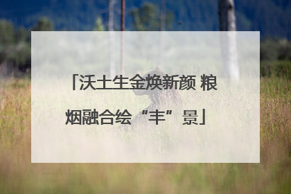 沃土生金焕新颜 粮烟融合绘“丰”景